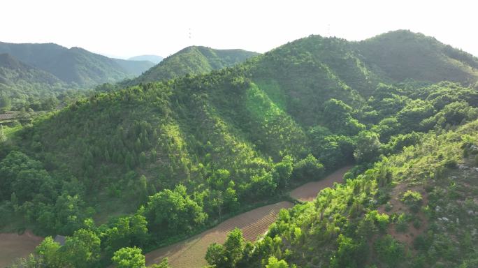 山区航拍3山坡航拍小山坡