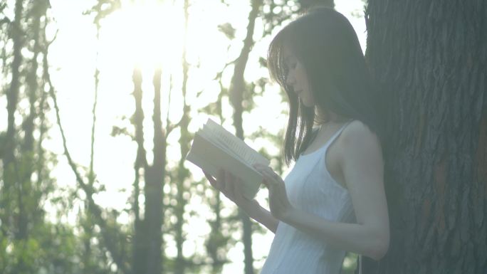 女孩在夕阳下的树林里阅读看书