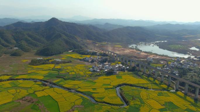 4K油菜花古村庄高铁列车通过