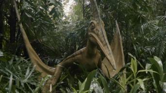 长隆动物园恐龙视频素材