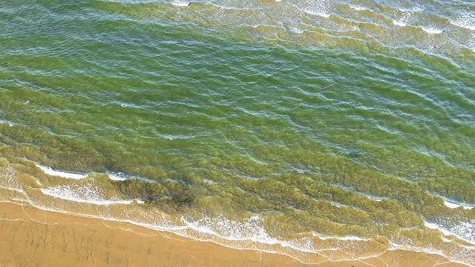 海水浪花涨潮 退潮