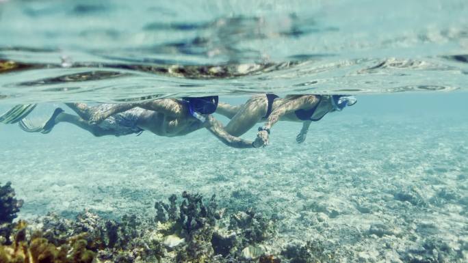 浮潜夫妇水下水面剖视图