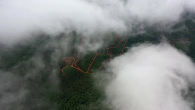【原创4K】云雾覆盖的绿色原始森林航拍