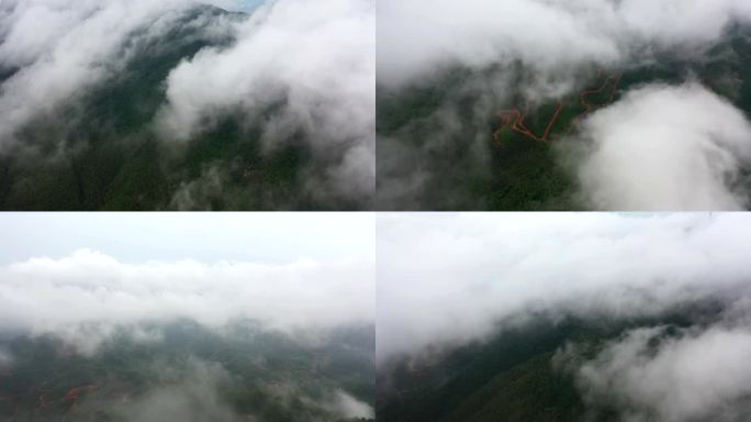 【原创4K】云雾覆盖的绿色原始森林航拍