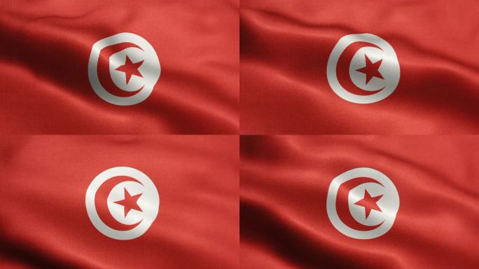 突尼斯国旗动画库存视频-突尼斯国旗在循环和纹理三维渲染背景中挥舞-高度详细的织物图案和可循环-突尼斯