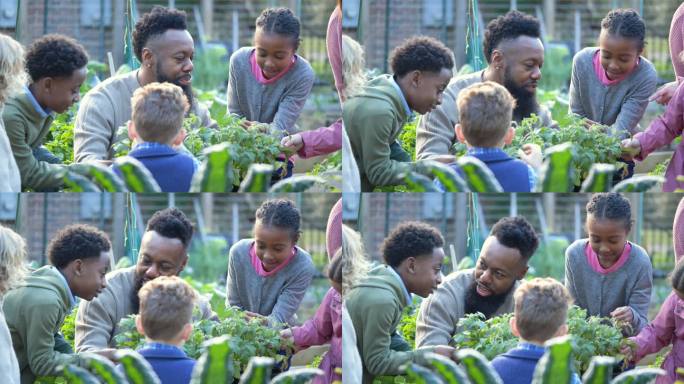 在社区花园里教孩子们植物的男人