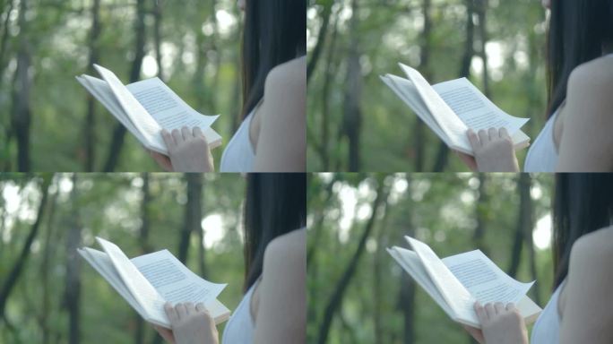 女孩在森林里阅读书本唯美浪漫