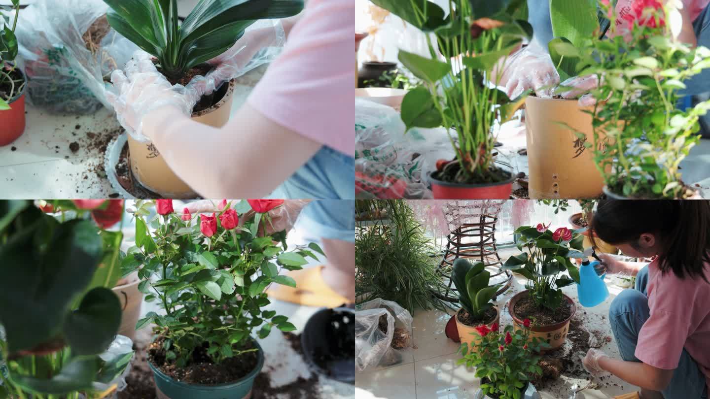 4K阳台种绿植花草休闲慢生活