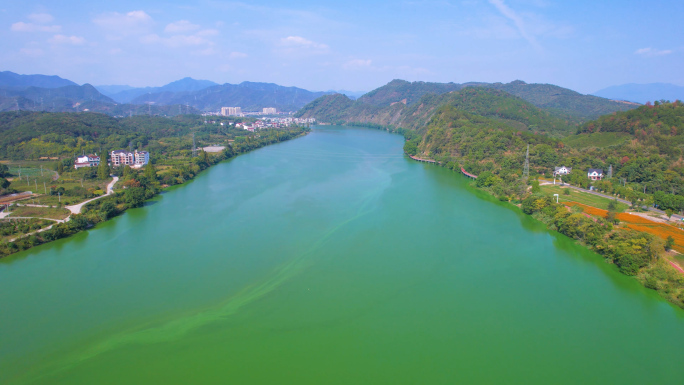 建德下涯湿地景区