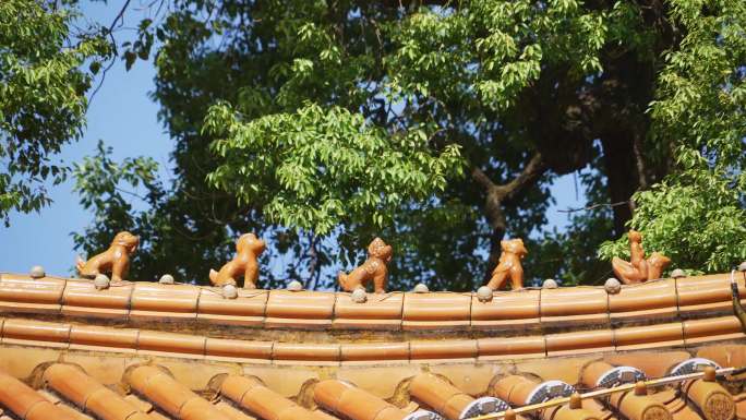 阳光下中国传统古建筑屋脊