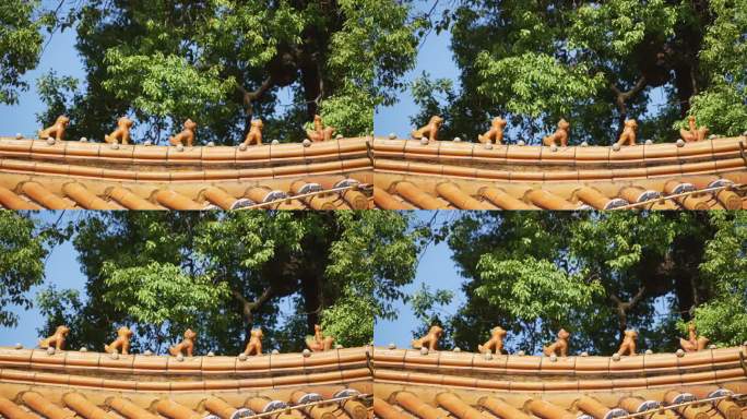 阳光下中国传统古建筑屋脊