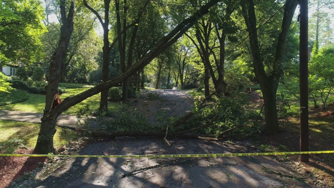 警方的路障胶带标记了由于郊区的危险风而关闭的道路。一场暴风雨过后，一棵倒下的树挡住了新泽西州一个小镇