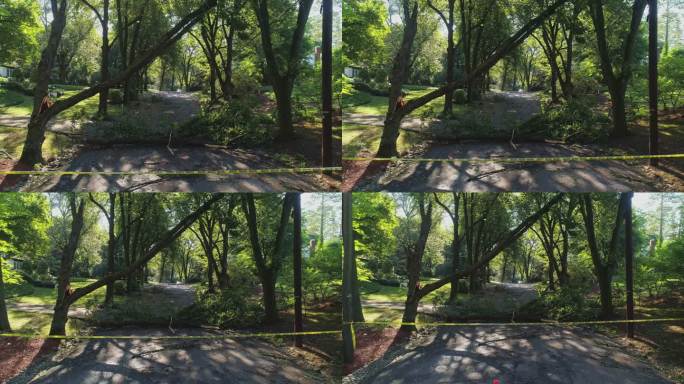 警方的路障胶带标记了由于郊区的危险风而关闭的道路。一场暴风雨过后，一棵倒下的树挡住了新泽西州一个小镇