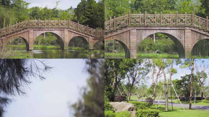 公园  小桥  绿荫 流水4k画质