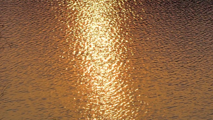唯美画面夕阳下的湖面波光