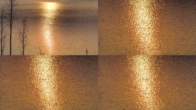唯美画面夕阳下的湖面波光
