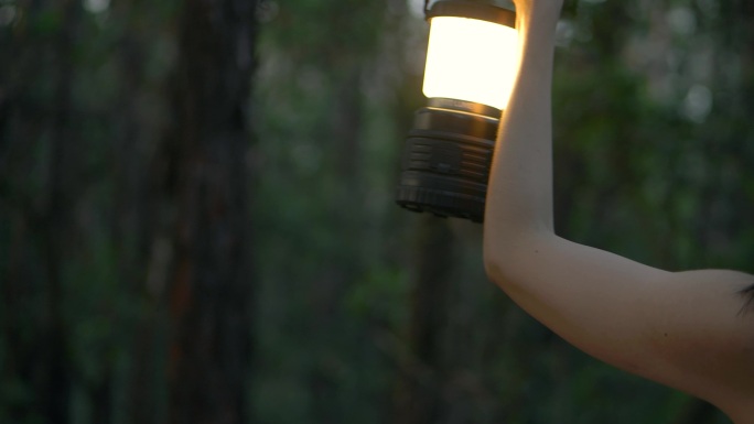 女孩提着马灯在树林寻觅寻找4k视频素材