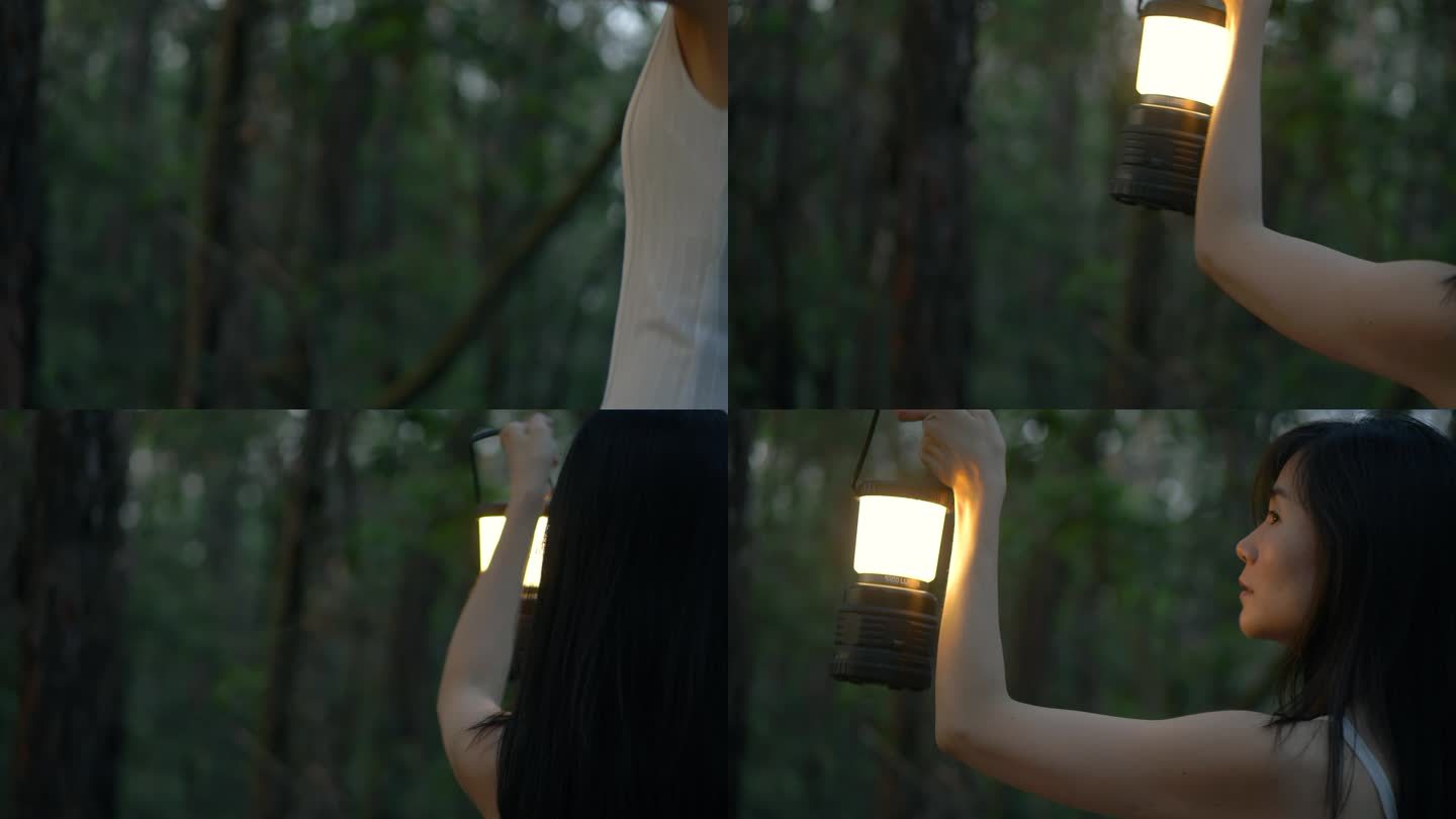 女孩提着马灯在树林寻觅寻找4k视频素材