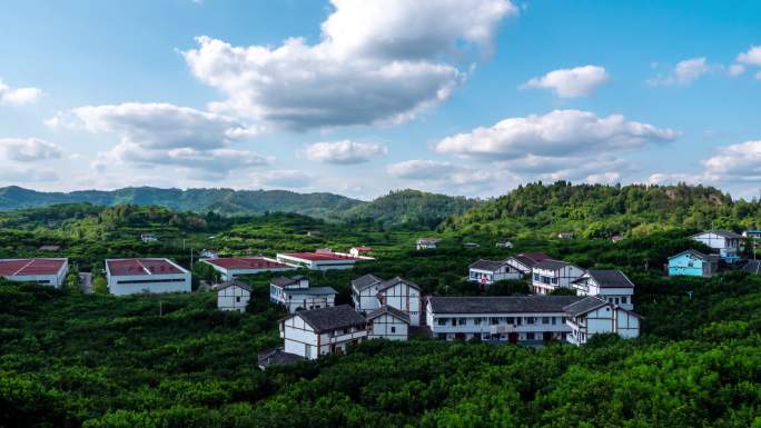 乡村农业水果基地