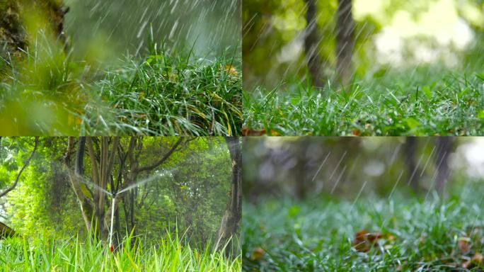 城市绿化 浇灌花草 浇灌树木