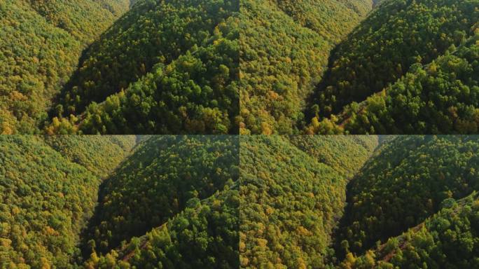 秋季山区森林航拍