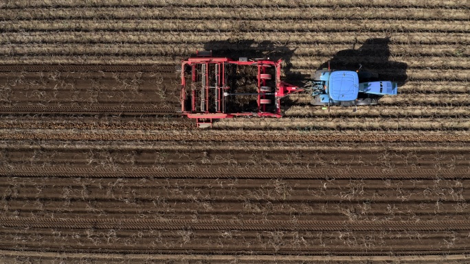 秋季收获新鲜土豆的拖拉机和农业机械鸟瞰图