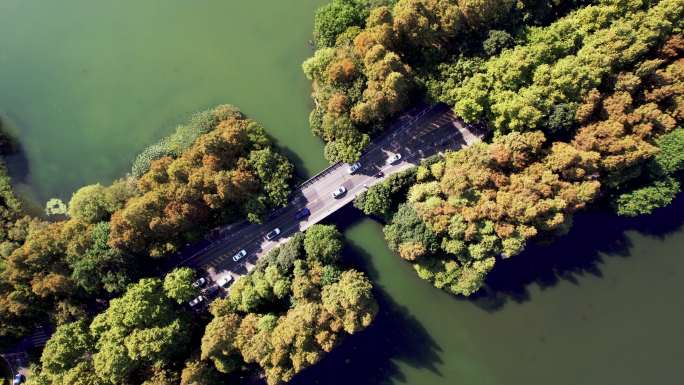 穿过湖泊和树木区的道路鸟瞰图