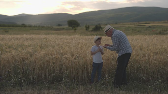 祖父和孙子在耕地旁度过时光