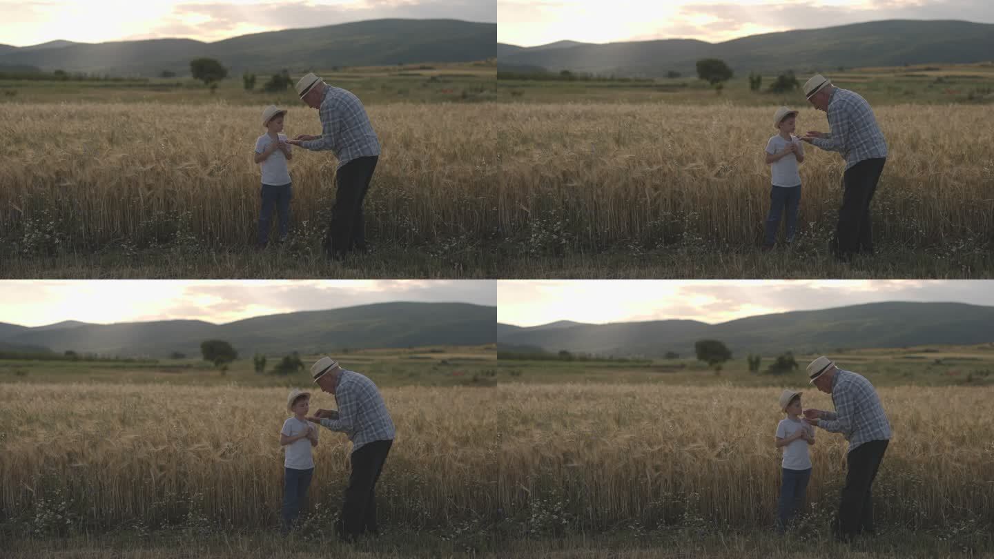祖父和孙子在耕地旁度过时光