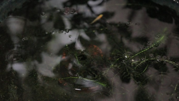 雨天的湖面