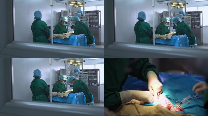 手术室 手术用具 医护人员 进行手术