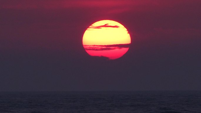 海鸥飞过一轮红日大海海面云霞光