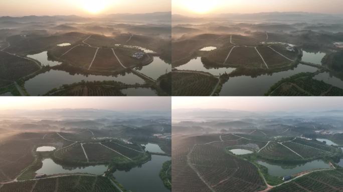 中国脐橙之乡风光