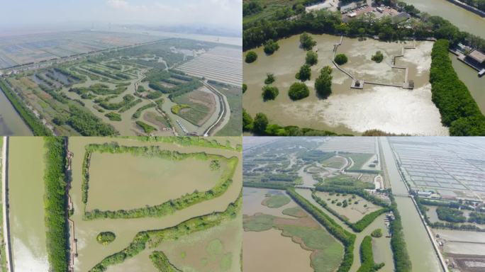 广州_南沙湿地_湿地田地_航拍