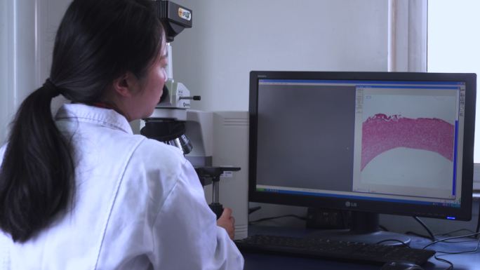 实验室 科学研究 科研人员 显微镜