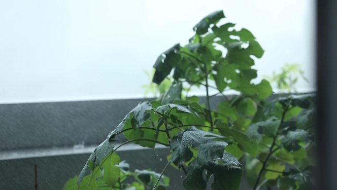 深圳暴雨