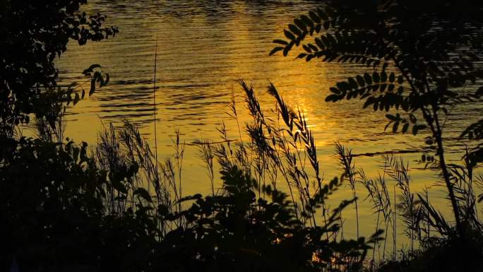 夕阳湖水反射流光碧波荡漾