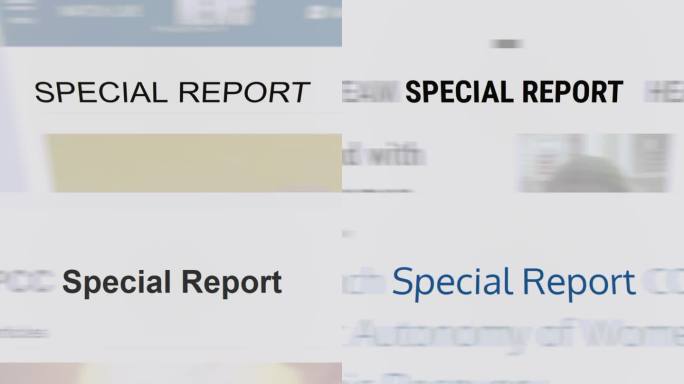 文章和文本中的特别报告