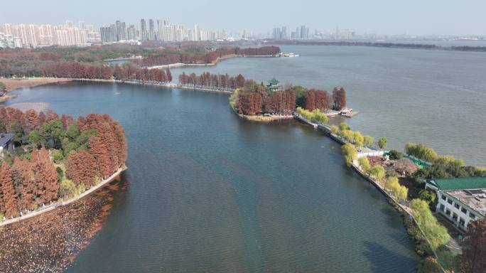 【5K】武汉东湖景区