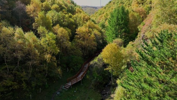 秋季山区森林航拍