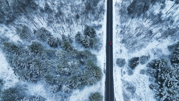加拿大，一辆下雪后在森林中行驶的红色汽车