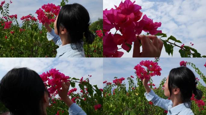 女人欣赏花 手拿花