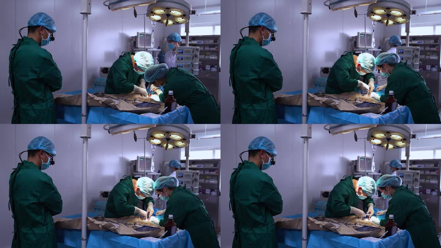 手术室 开始手术 医护人员 小心翼翼