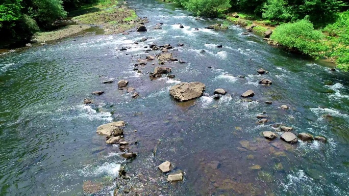 溪流 小河 岩石 河岸 树丛