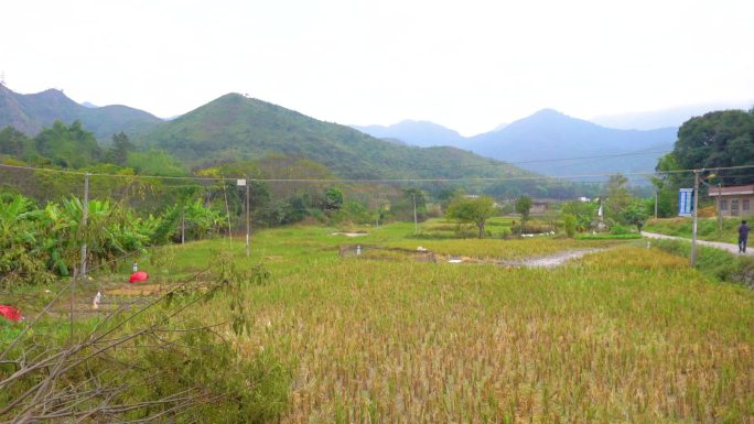 美丽风景 旅行 佛教