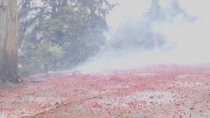 过年烟花鞭炮燃放合集 实拍