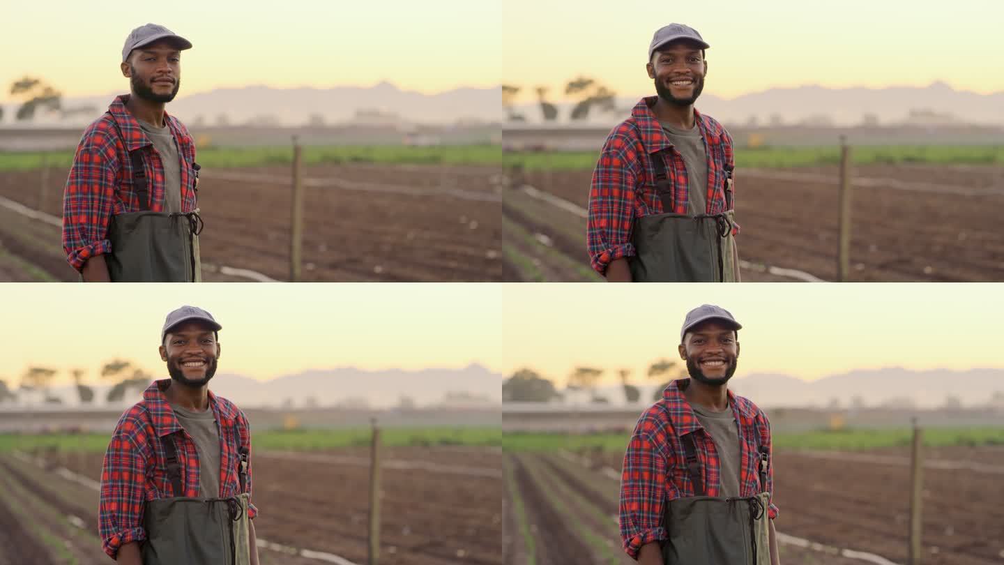 年轻的非洲裔美国男性农民站在农场微笑。早上站在田里微笑的男人。