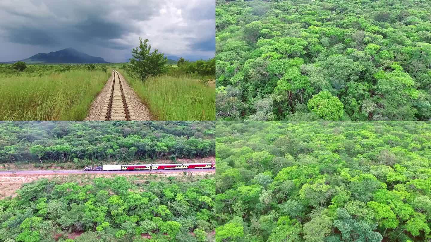 原始森林热带雨林森林铁路非洲大陆乡村旅游