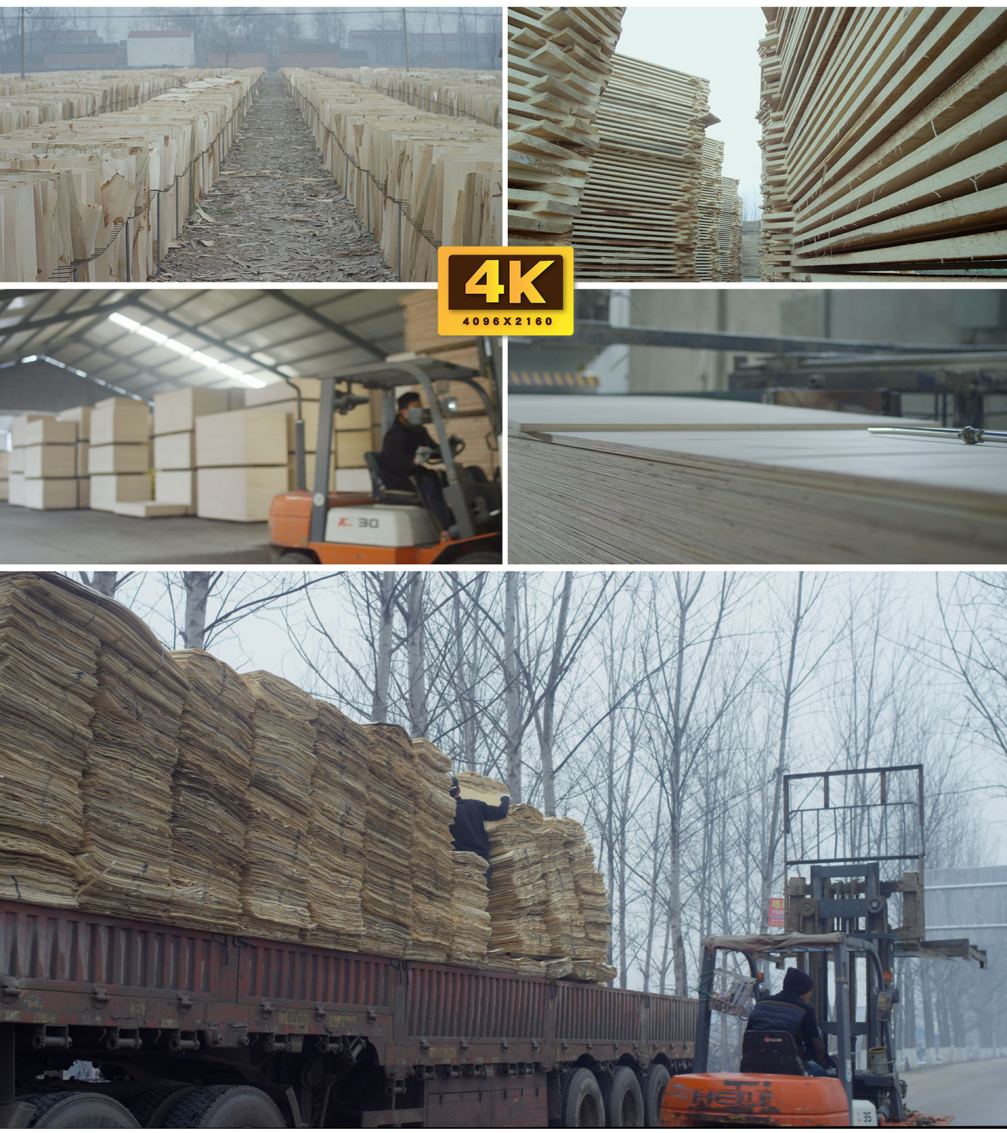 「RED拍摄」乡村企业复合板木板木头加工