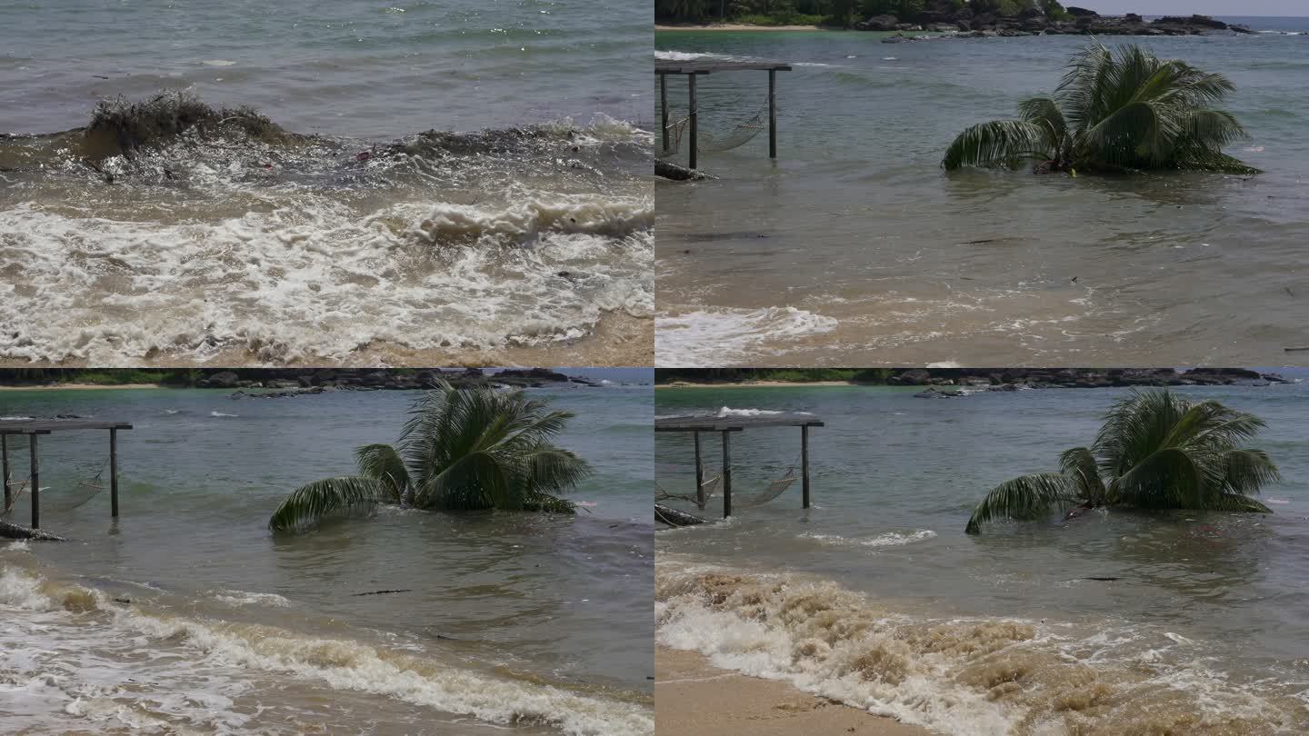 地震或风暴过后，椰子树在泥泞的海浪中沉没。